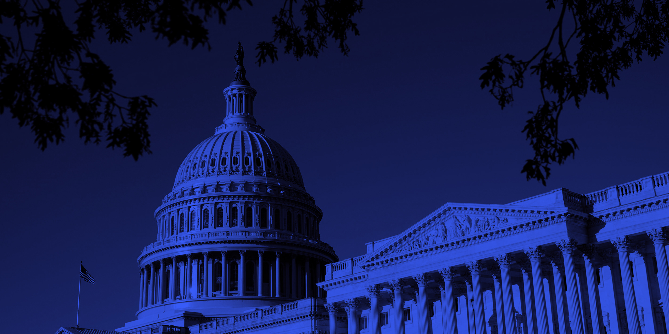 White House with blue color overlay