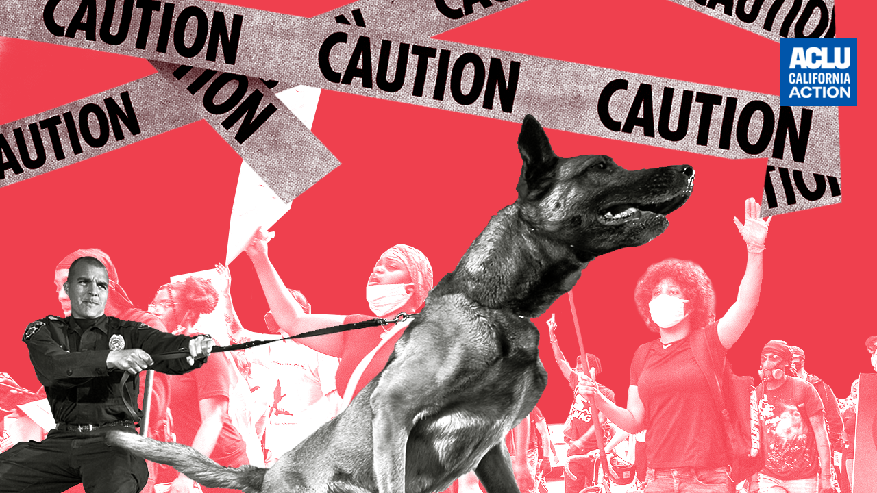 Restrict Police Attack Dogs | American Civil Liberties Union