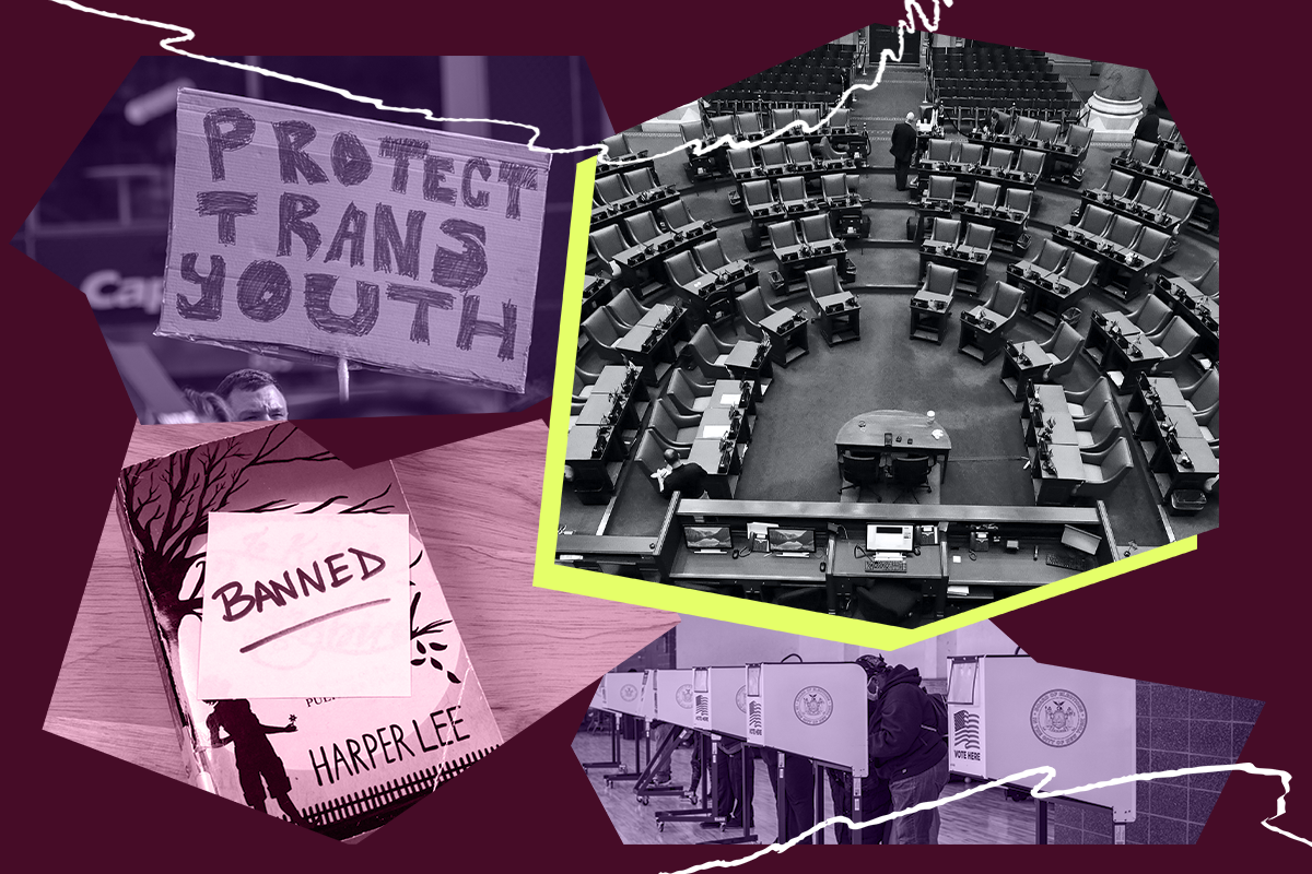 Collage of the State Legislature, voting booths, protest signs, and a banned book.